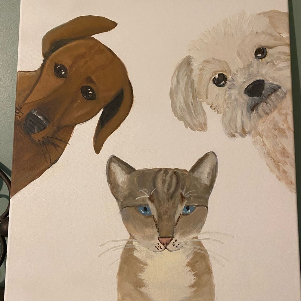 PET PORTRAIT HOST Pick 3/2/24 & 5/2/25 - Picture 4 of 12